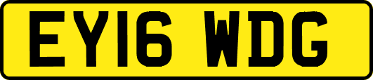 EY16WDG