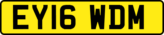 EY16WDM