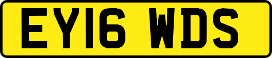 EY16WDS