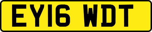 EY16WDT