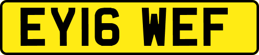 EY16WEF