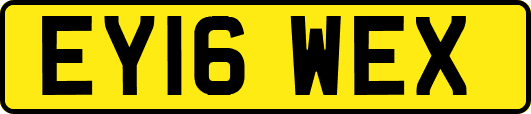 EY16WEX