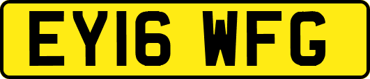 EY16WFG