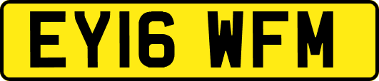 EY16WFM