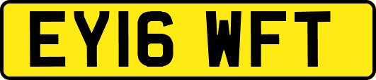 EY16WFT