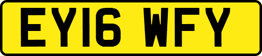 EY16WFY