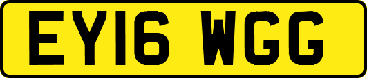 EY16WGG