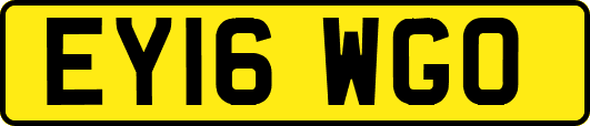 EY16WGO