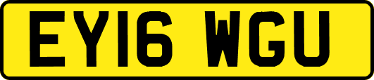 EY16WGU