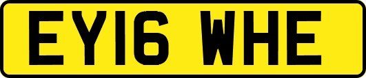 EY16WHE