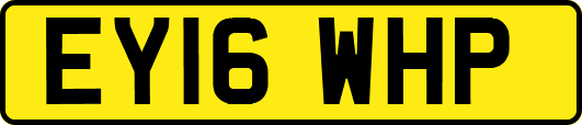 EY16WHP