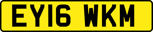 EY16WKM