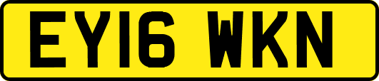 EY16WKN