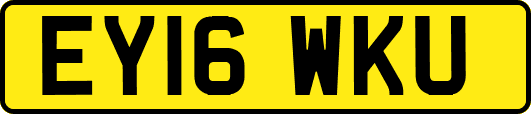 EY16WKU