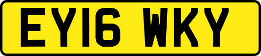 EY16WKY