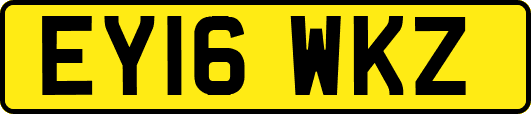 EY16WKZ