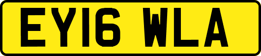 EY16WLA