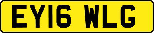 EY16WLG