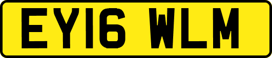 EY16WLM