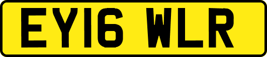 EY16WLR