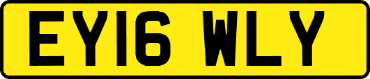 EY16WLY