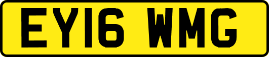EY16WMG