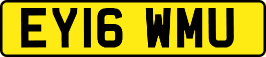 EY16WMU