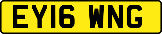 EY16WNG
