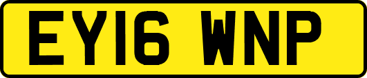 EY16WNP