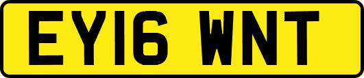 EY16WNT
