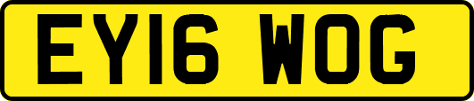 EY16WOG