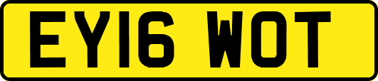 EY16WOT