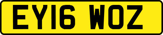 EY16WOZ