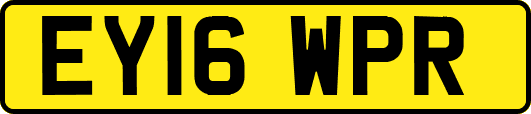 EY16WPR