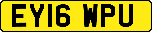 EY16WPU