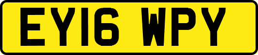 EY16WPY