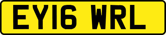 EY16WRL