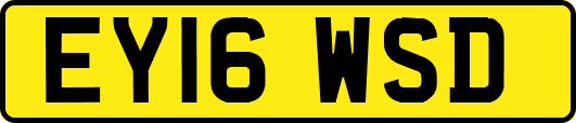 EY16WSD