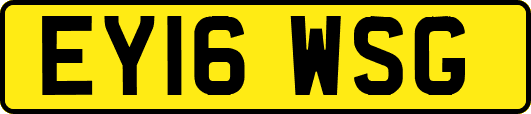 EY16WSG