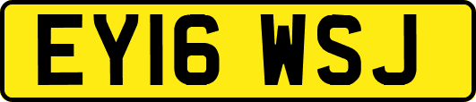 EY16WSJ