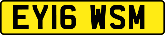 EY16WSM