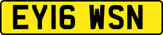 EY16WSN