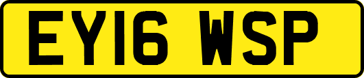 EY16WSP