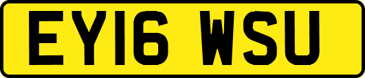 EY16WSU