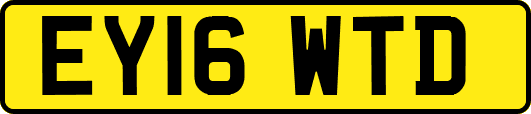 EY16WTD