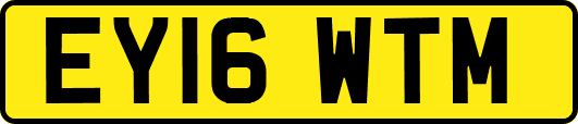 EY16WTM