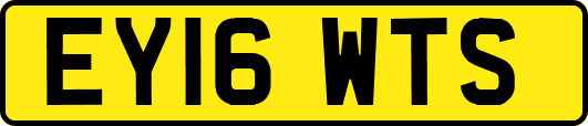 EY16WTS
