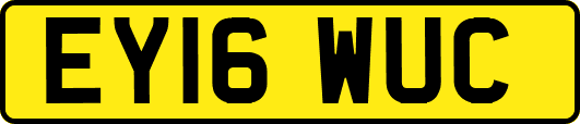 EY16WUC
