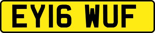 EY16WUF