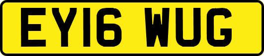 EY16WUG